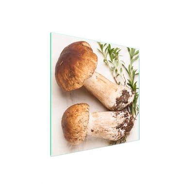 TMK ArtDeko - Glazen Beschermplaat - 50x52 cm - Grzyby - Hittebestendig - Veelkleurig
