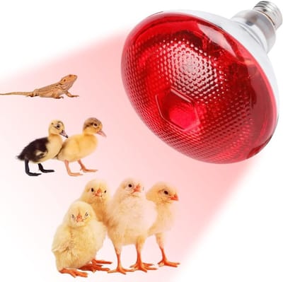 Verwarmingslamp voor Reptielen, 250W, E27, Infraroodlamp voor Schildpadden en Hamsters, Dierenverlichting