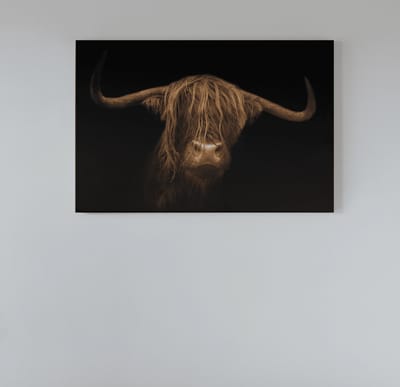Canvas Schilderij - Hooglander - Schotse - Wanddecoratie - 120x80x2 cm