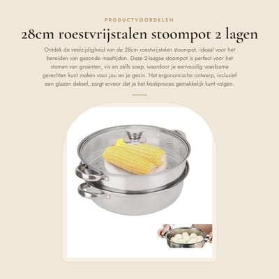 Dailygoods- Stoompot 28cm - Roestvrij Stalen Stoommandje - 2 Lagen - Glazen Deksel - Ergonomisch Ontwerp - Warmte-isolatie - Stoomkoker