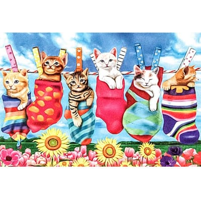 Diamantmozaïek foto dieren katten 5D DIY diamant borduurwerk zonnebloem kruissteek woondecoratie 20X30CM gray