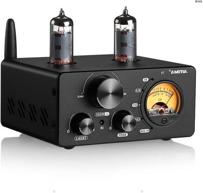 RFWR® Bluetooth 5.0 Vacuümbuisversterker met USB DAC en VU-meter voor HIFI Home Audio