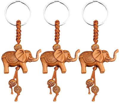 Dailygoods- Sleutelhanger 3 Stuks - Driedimensionaal Olifantenontwerp - Creatieve Sleutelhanger - Decoratieve Sleutelhanger - Duurzaam Hars - Lichtgewicht - Sleutelring