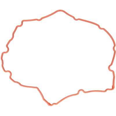 Victor Reinz Pakking, cilinderkopdeksel REINZ 71-38172-00 links