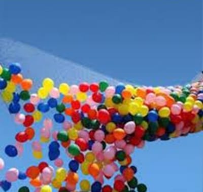 Wefiesta Ballonnenvalnet  1 X 2,4 M Nylon Zwart 100 Stuks