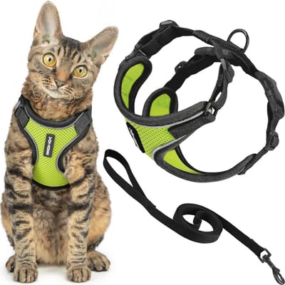 Kattenharnas en Riemset met Reflecterende Naden - Verstelbaar en Comfortabel voor Alle Katten