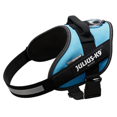 JULIUS-K9 IDC® Power Harness, aquamarine - Grootte: M