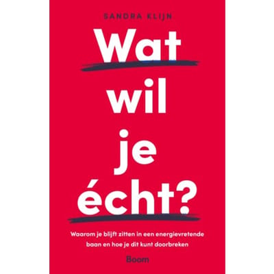 Wat Wil Je - Sandra Klijn