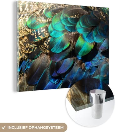 MuchoWow® Glasschilderij 40x30 cm - Schilderij acrylglas - Veren - Pauwveren - Pauw - Blauw - Kunst - Foto op glas - Schilderijen