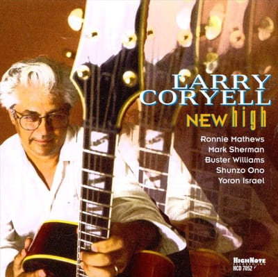 New High - Larry Coryell