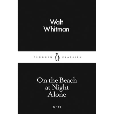 Alone On The Beach At Night - Walt Whitman