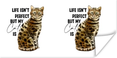 Poster Katten - Life isn't perfect but my cat is - Spreuken - Quotes - 120x60 cm
