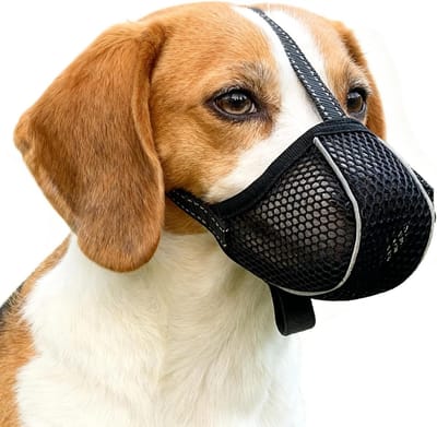 Zachte en Ademend Hondenmuilkorf voor Kleine, Middelgrote en Grote Honden, Voorkomt Bijten, Likken en Kauwen, Reflecterend Ontwerp (L, Zwart)