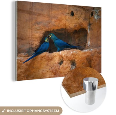 ® Glasschilderij 180x120 cm - Schilderij acrylglas - Twee Lears-ara's in de rotsen - Foto op glas - Muurdecoratie woonkamer - Wanddecoratie slaapkamer - Schilderijen
