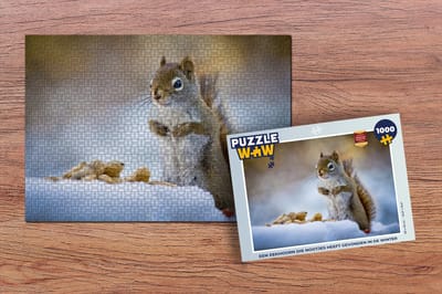 Puzzel Eekhoorn - Noten - Sneeuw - Winter - Knaagdieren - Seizoenen - Legpuzzel - Puzzel 1000 stukjes volwassenen