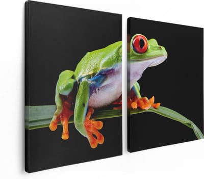 Artaza Canvas Schilderij Tweeluik Kikker met Rode Ogen op een Plant - 120x80 - Foto Op Canvas - Canvas Print