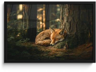 Poster in lijst - Fotolijst 60x40 cm - Posters - Vos - Bos - Slapen - Posterlijst zwart - Decoratie - Wanddecoratie woonkamer - Muurdecoratie slaapkamer