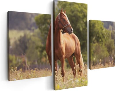 Artaza Canvas Schilderij Drieluik Bruin Paard In De Wei - 90x60 - Foto Op Canvas - Canvas Print