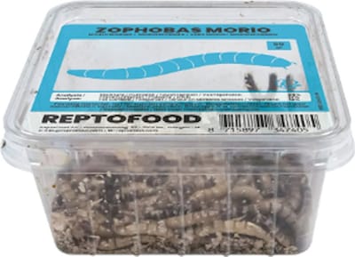 Repto Levende Moriowormen 1000 gram