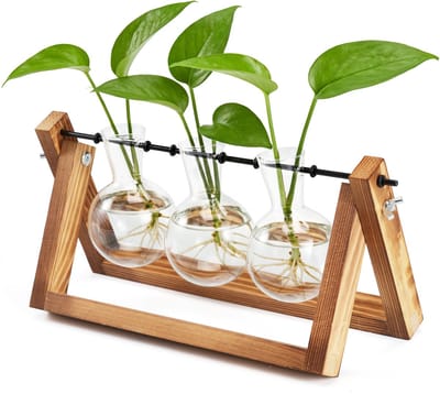 YONO Stekstation met Houten Standaard - Stekjes Plant Terrarium Decoratie - Stek Vaasjes - Kweekbak Glas