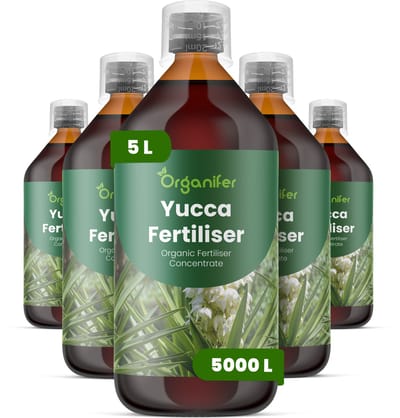 Vloeibare Meststof Voor Yucca - 5X1 L Voor 5000 L - Npk 3-4-3 - Versterkt De Natuurlijke Weerbaarheid Van Planten Tegen Droogte En Hitte - Geeft Een Prachtige Bladglans Voor Een Esthetisch Aantrekkelijk Resultaat - Jaarrond Toepasbaar - Organifer