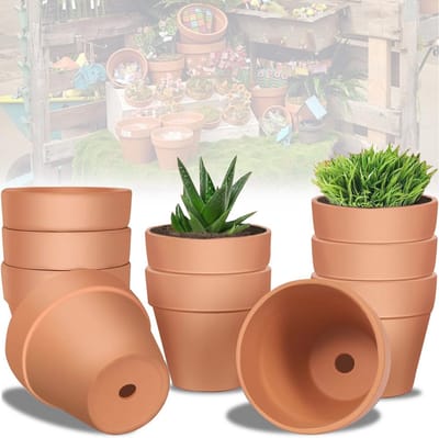 Dailygoods- Kleipotten 10 stuks - Mini Terracotta Potten - Kleine Bloempotten - Potten met Afvoergat - Duurzaam - Geschikt voor Binnen/Buiten - Bloempot