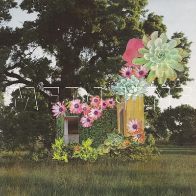 Medicine - Home Everywhere (LP)