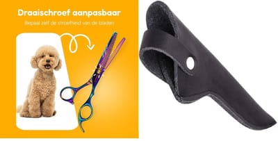Professor Q – Professionele Effileerschaar 16,5 cm – Rechtshandige Uitdunschaar – Regenboog Design – RVS Kappersschaar – Inclusief Luxe Lederen Etui – Zwart