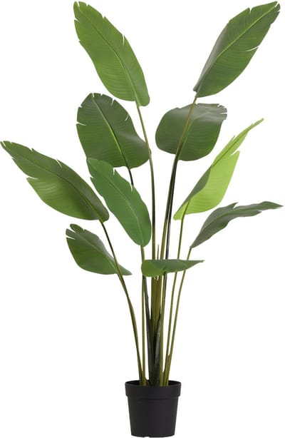 Florafy Kunstplant Strelitzia 182cm - Kunstplanten voor binnen - Onderhoudsvrij