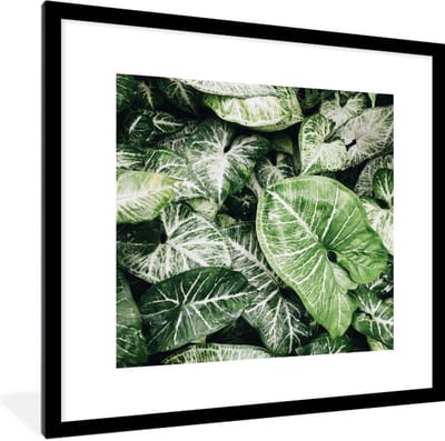 Fotolijst incl. Poster - Bladeren - Planten - Natuur - 40x40 cm - Posterlijst
