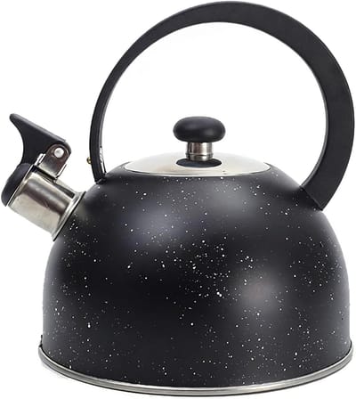 Waterketel RVS - Theeketel Fluitketel - Koken Water - Geschikt Alle Vuren - 25 Liter Inhoud - Zwart