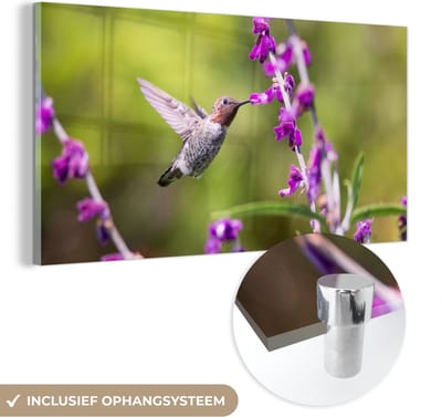 MuchoWow® Glasschilderij 40x20 cm - Schilderij acrylglas - Kolibrie - Vogel - Bloemen - Natuur - Foto op glas - Schilderijen