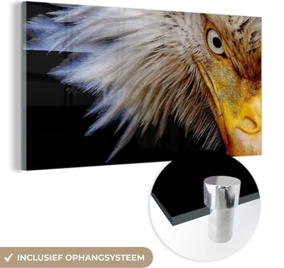 MuchoWow® Glasschilderij 40x20 cm - Schilderij acrylglas - Vogel - Oog - Snavel - Foto op glas - Schilderijen