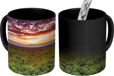 Magische Mok - Foto op Warmte Mokken - Koffiemok - Bos - Nacht - Lucht - Horizon - Bomen - Magic Mok - Beker - 350 ML - Theemok