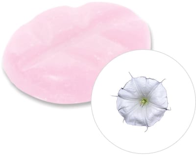 Scentchips® Maanbloem - Geurblokjes - Huisparfum - Geurchips - Waxmelts - Geschikt voor Geurbrander en Waxbrander - S - 8 Stuks