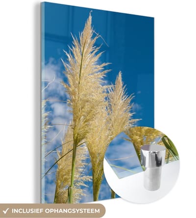 MuchoWow® Glasschilderij 30x40 cm - Schilderij acrylglas - Planten - Pampasgras - Lucht - Foto op glas - Schilderijen