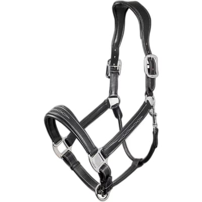 Leren halster voor paarden LeMieux Stitched Comfort