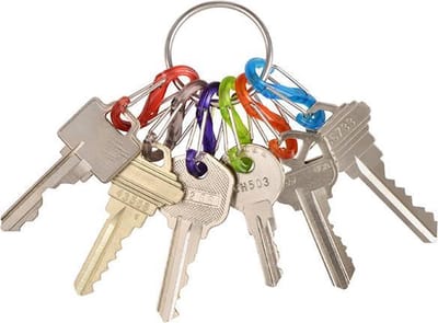 NITE Ize NI-KRG2-11-R3 S-Biner Sleutelring Rood, Zwart, Lila, Groen, Oranje, Blauw 1 stuk(s)