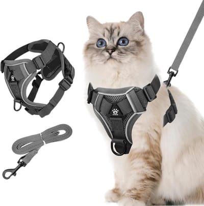 Ademend en Verstelbaar Hondentuigje met Reflecterende Leash Set voor Kleine Honden, Perfect voor Hardlopen en Wandelen
