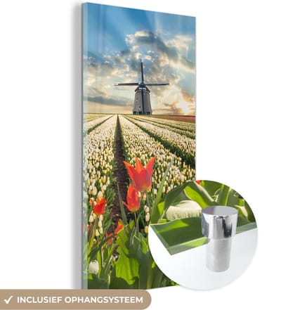 MuchoWow® Glasschilderij 20x40 cm - Schilderij acrylglas - Windmolen - Tulpen - Lucht - Natuur - Foto op glas - Schilderijen