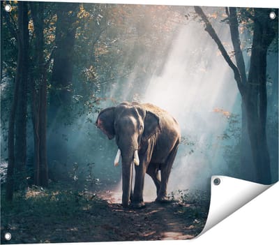 Gards Tuinposter Olifant in het Bos met Zonneschijn - 80x60 cm - Tuindoek - Tuindecoratie - Wanddecoratie buiten - Tuinschilderij