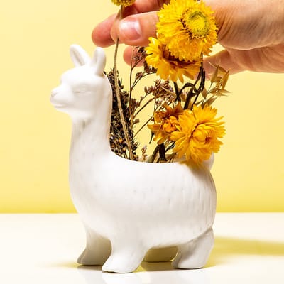 Kikkerland Lama Bloempot – Lama’s – Bloemen – Woonaccessoires – Keramiek - Vrij van lekken - Waterdicht