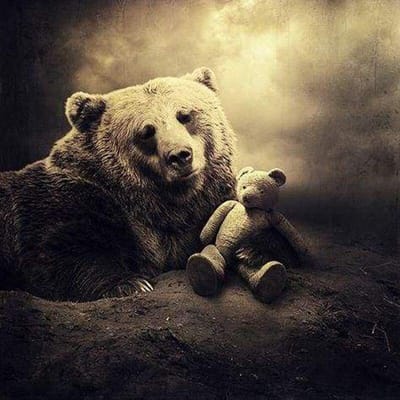 Diamant borduurwerk ambachtelijke schilderij steentjes borduurwerk 5d diamant schilderij twee teddies muur kunst 30x30CM gray