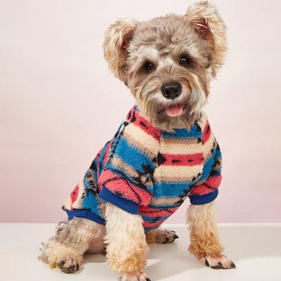 Warm Bloemig Print Huisdier Trui voor Kleine en Middelgrote Honden - Gezellige en Stijlvolle Hondenkleding voor Koud Weer XL