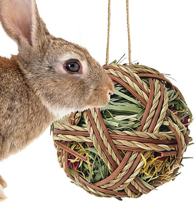 Hooi Konijnenkauwballen - Knaagbal Gerbil - Tanden Verzorgen - Natuurlijk Hooi Materiaal - 9x25cm - Niet gespecificeerd