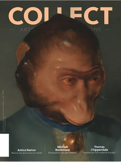 Collect AAA NL - 538
