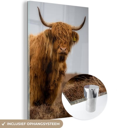 MuchoWow® Glasschilderij 120x180 cm - Schilderij acrylglas - Schotse Hooglander - Duin - Gras - Foto op glas - Schilderijen