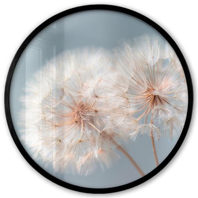 Poster in lijst Rond - Fotolijst 40x40 cm - Posters - Paardenbloemen - Pluisjes - Wit - Ronde posterlijst zwart - Decoratie - Wanddecoratie woonkamer - Muurdecoratie slaapkamer