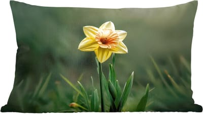 Sierkussens - Kussentjes Woonkamer - 60x40 cm - Bloem - Narcis - Gras - Geel