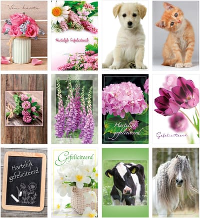 MGPcards - 12 dubbele wenskaarten met envelop - Bloemen - Gefeliciteerd - Zonder tekst - Dieren - 11,5 x 17 cm